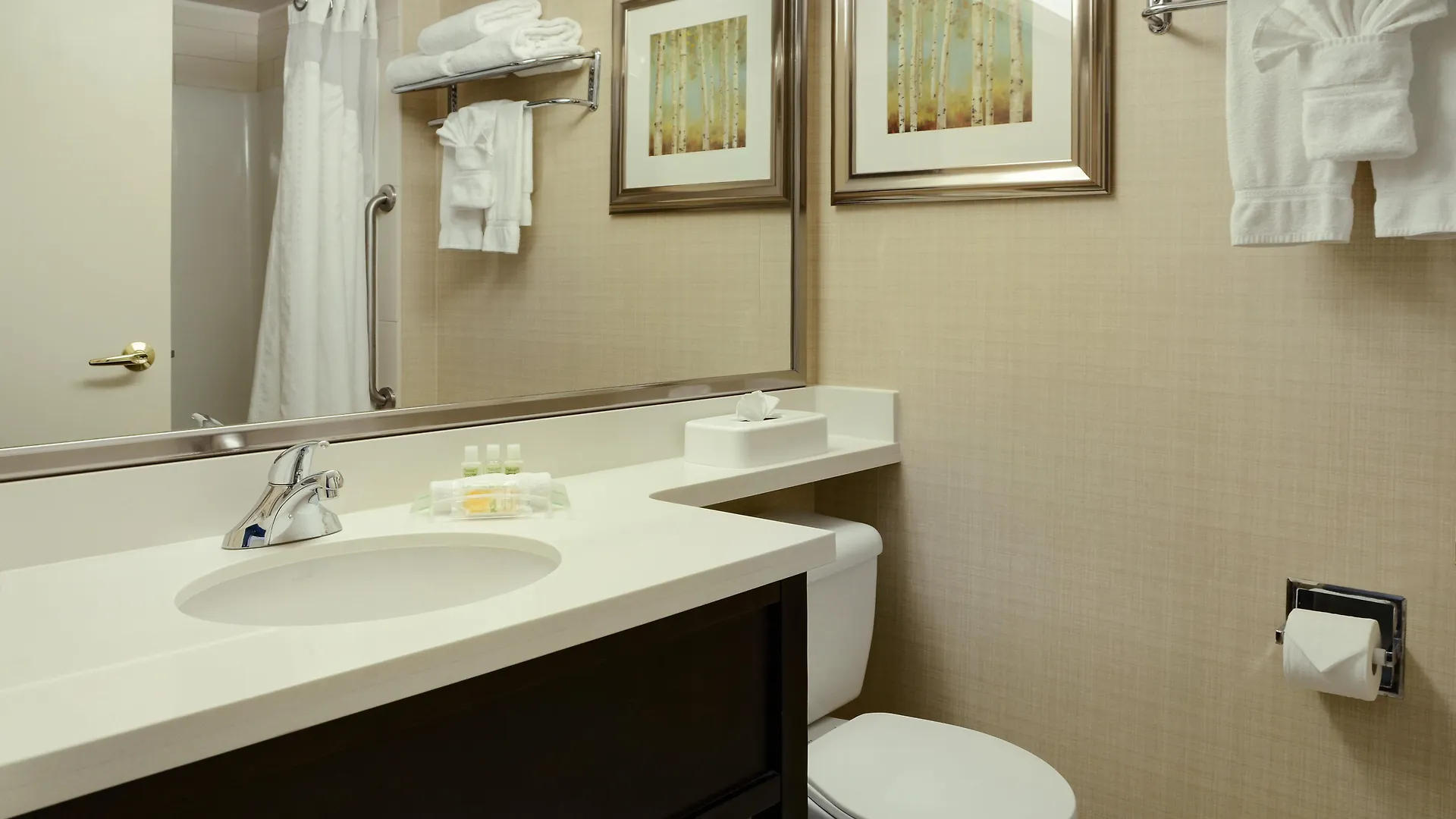Hotel Holiday Inn Conference Centre Edmonton South By Ihg